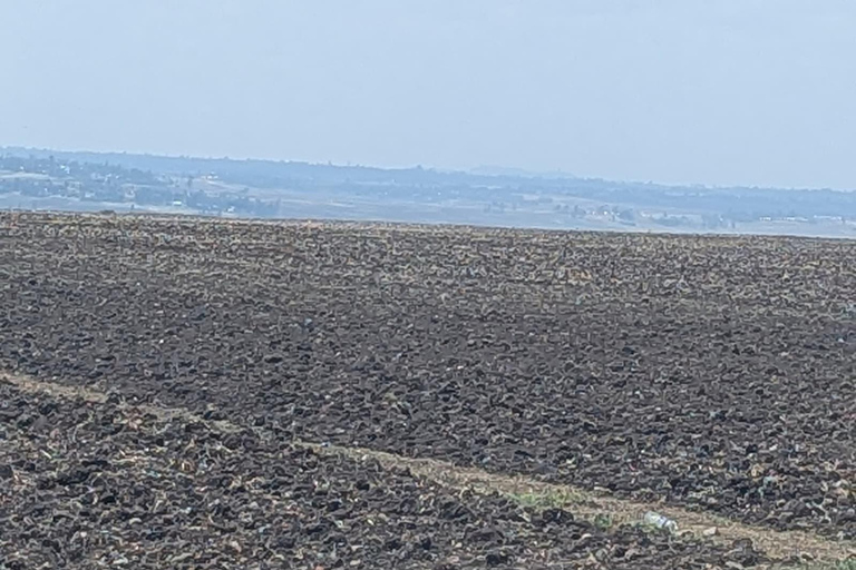Blue Nile Gorge Wildlife & Cultural Day Trip