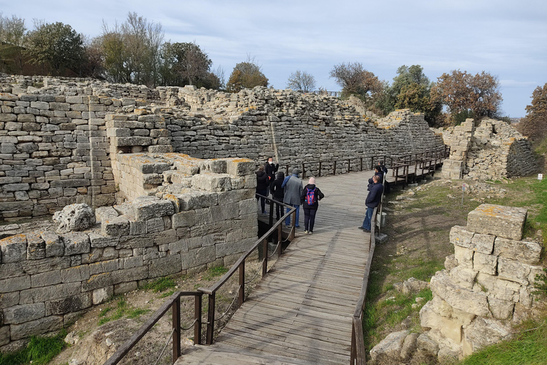 Istanbul: Troy Guided Day Trip with Ferry Ride
