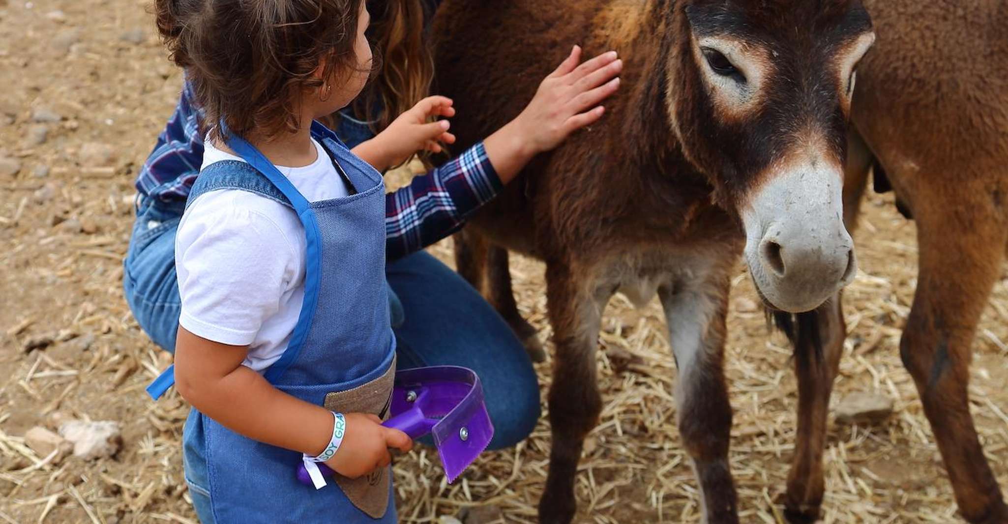 Agüimes , Be a farmer for the day at La Jaira de Ana - Housity