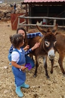 Agüimes , Be a farmer for the day at La Jaira de Ana - Housity