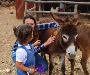 Agüimes : Be a farmer for the day at La Jaira de Ana