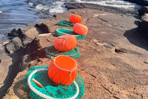 Desde Jeju: excursión a sitios de la UNESCO