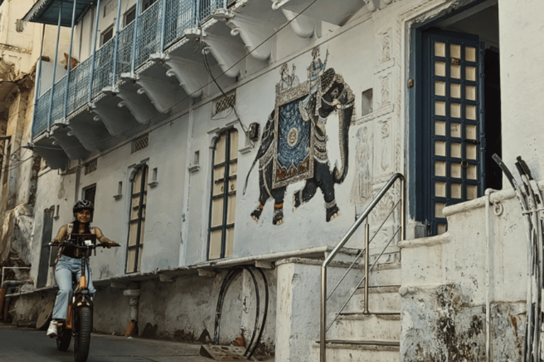 Passeio pelo Patrimônio Histórico : Barco particular, Havelis, caminhada pela cidade e chá da tarde