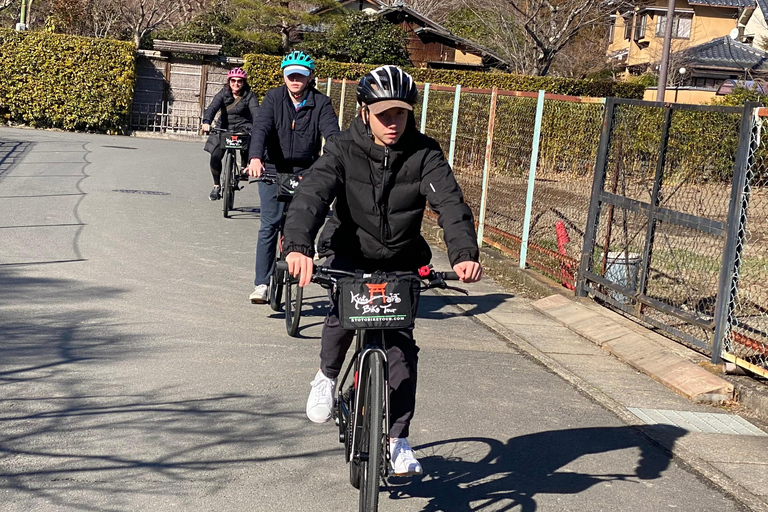 Kyoto: Cykelutflykt i bambuskogen och apparken på eftermiddagen