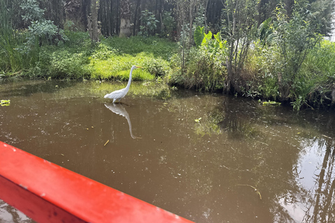 Xochimilco: Original Doll Island, & Axolotl Tour Mexico City: Canals, Original Doll Island, & Axolotl Tour