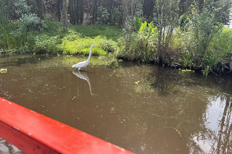 Xochimilco: Original Doll Island, & Axolotl Tour Mexico City: Canals, Original Doll Island, & Axolotl Tour