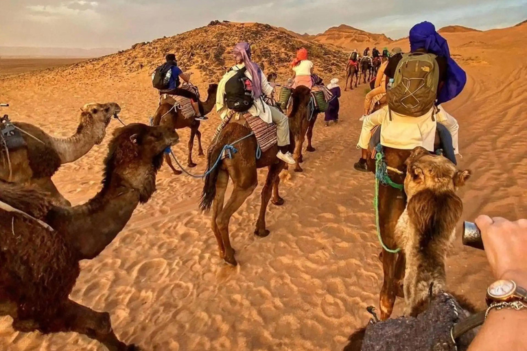 From Marrakech: 2-Day Zagora Desert & Ait Ben Haddou Tour