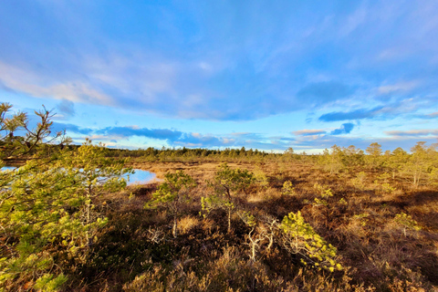 Ķemeri Bogs Adventure: Explore Wetlands In Bog Shoes