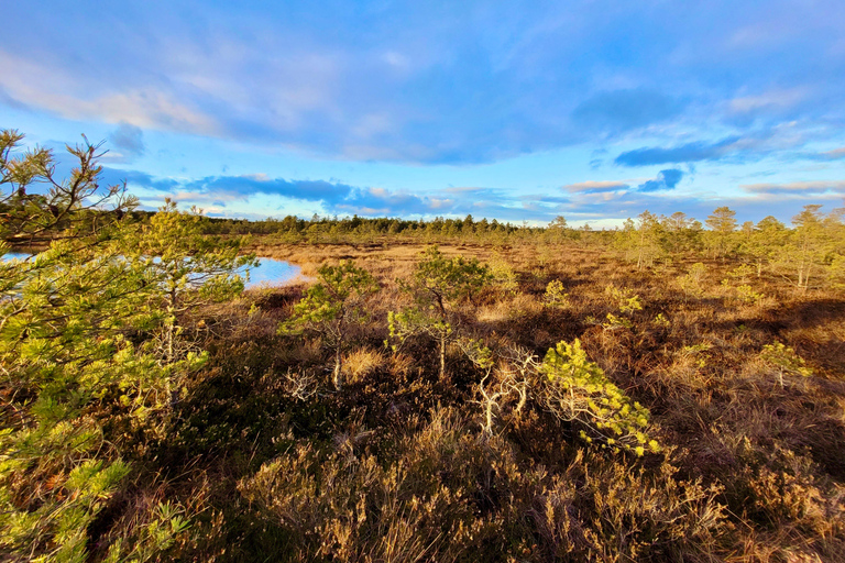 Ķemeri Bogs Adventure: Explore Wetlands In Bog Shoes