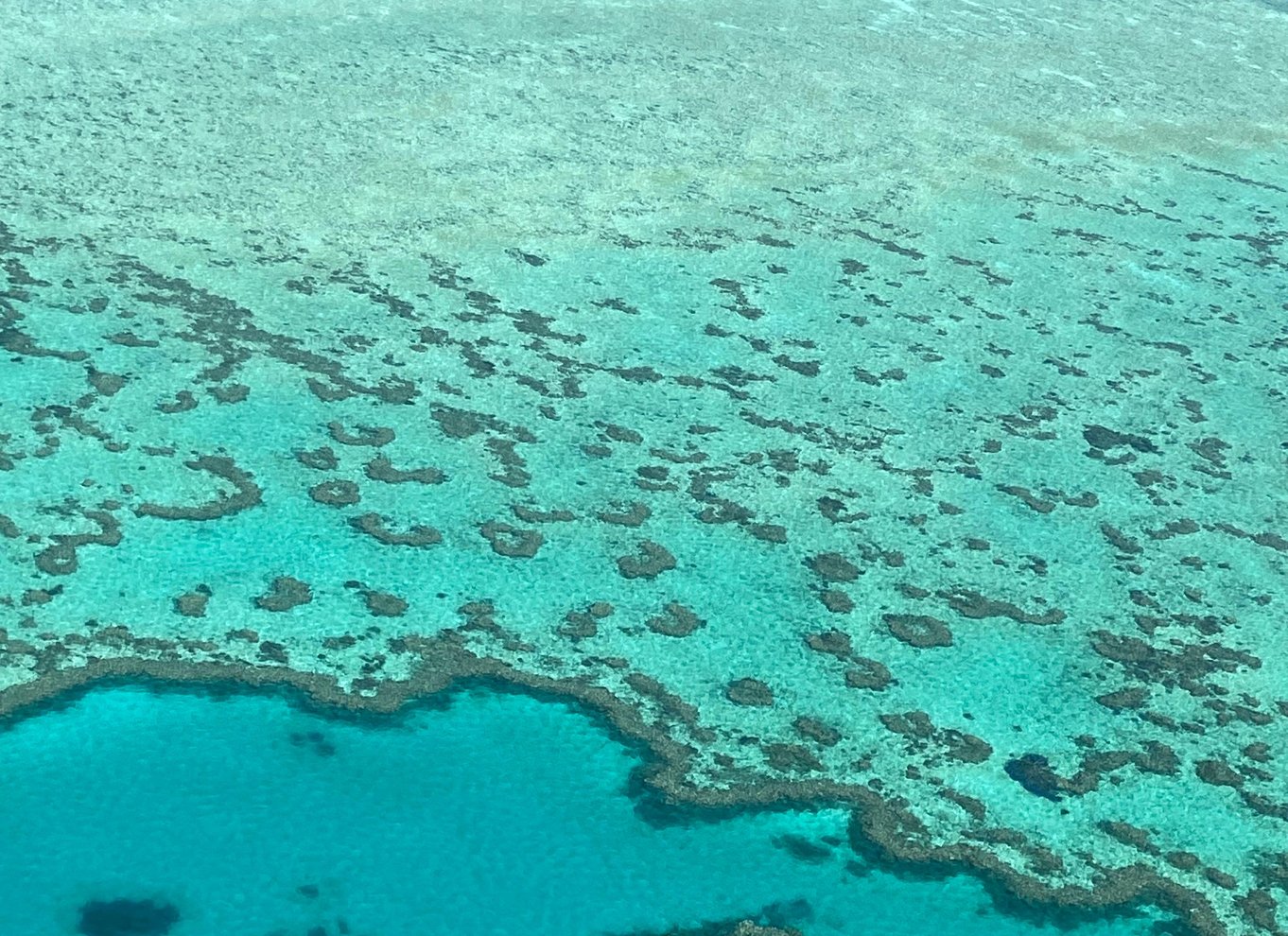 Airlie Beach: Whitsundays & Great Barrier Reef Scenic Flight