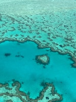 Airlie Beach, Whitsundays & Great Barrier Reef Scenic Flight - Housity