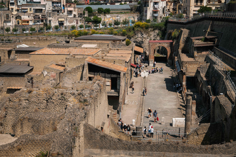 Herculaneum Guided Tour with Fast Train from Rome French language tour