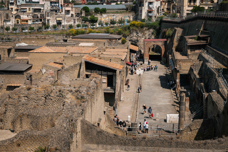 Herculaneum Guided Tour with Fast Train from Rome French language tour