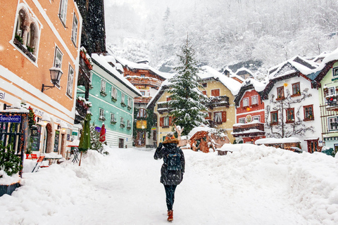 Wien, Österrike: Österrikiska Alperna, Hallstatt och Salzburg Guidad tur