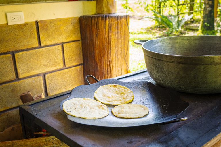 لا فورتونا: جولة الكسلان في متنزه بركان أرينال ووجبة خفيفة محلية
