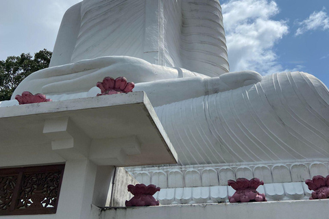 Sigiriya & Dambulla: 13 Attractions with Kandy Drop-Off