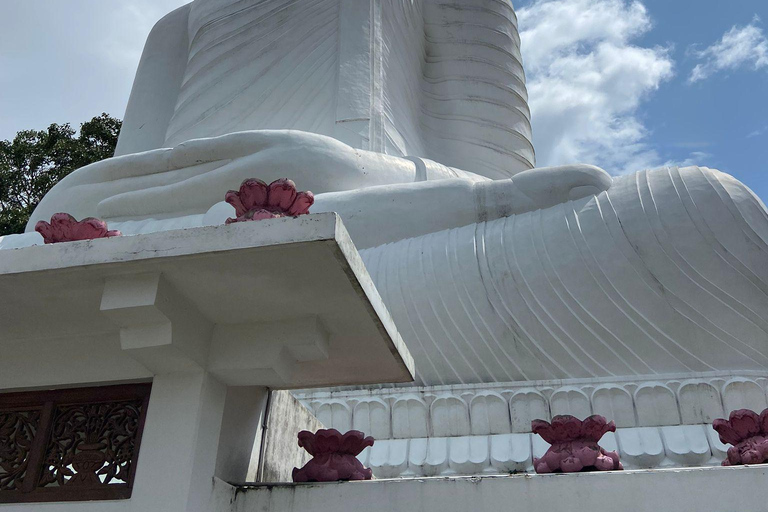 Sigiriya & Dambulla: 13 Attractions with Kandy Drop-Off