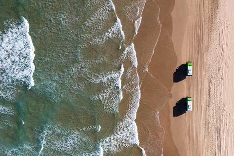 Unlimited Sandboarding Experience in Port Stephens Port Stephens: Unlimited Sandboarding & 4WD Sand Dune Tour