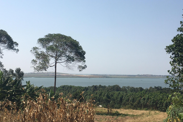 Entebbe: Lake Victoria Boat Trip and Buwaya Village Tour