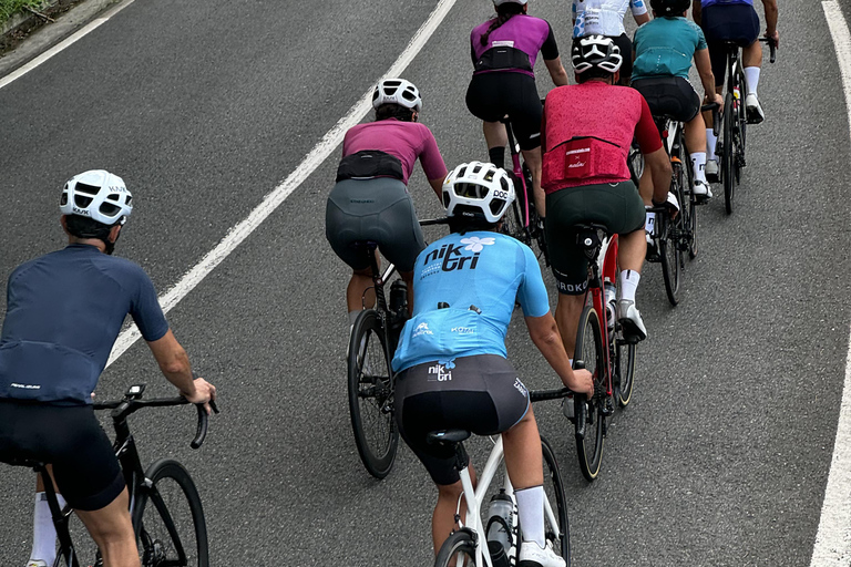 Miete dein Fahrrad bei uns und wir helfen dir, Gipuzkoa zu entdecken.