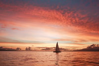 De Ma'alaea, Maui Sunset Cruise avec des boissons et des collations - Housity