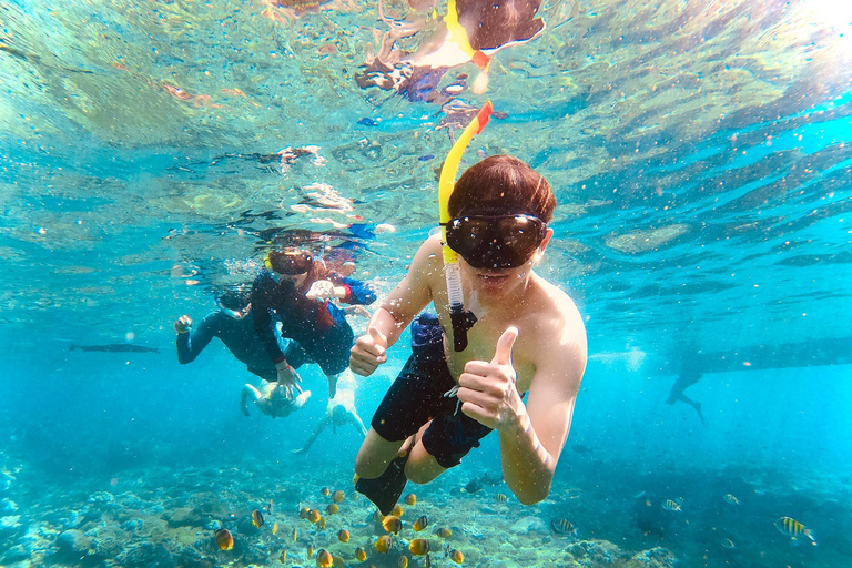 Nusa Penida: Snorkling båttur med Manta Rays