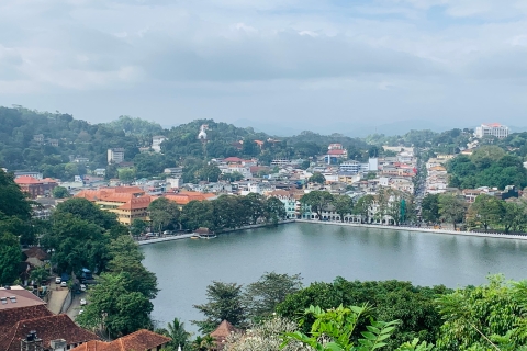 Visita de un día a la impresionante ciudad de Kandy desde Colombo