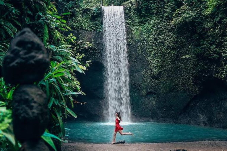 Monkey forest, Rice Terrace, Water Temple & Waterfall tour. Best of Ubud Privat Tour without entrance fee