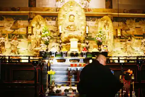 Kyoto: Tempio Kinkakuji e Ninnaji con approfondimenti sui monaci