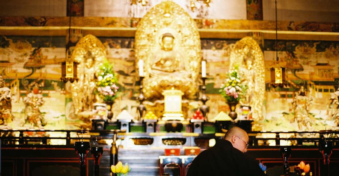 京都遺産　神社仏閣解説　観光DVD　全１２巻セット 京都遺産 神社仏閣解説 観光DVD 全12巻セット その他