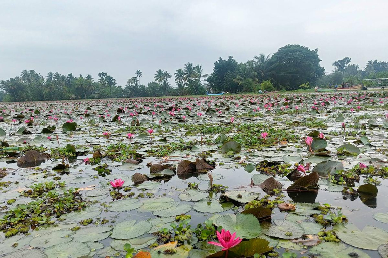 Excursion au point de vue de Malarikkal au départ de Cochin - Le joyau caché du KeralaVisite du point de vue de Malarikkal depuis Cochin, le joyau caché du Kerala