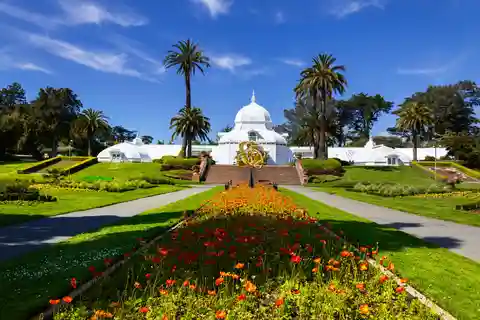 Excursão ao Golden Gate Park com a Academia de Ciências da Califórnia