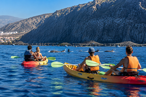 Tenerife: Turtle Bay - Kayak Rental with Drink and Equipment
