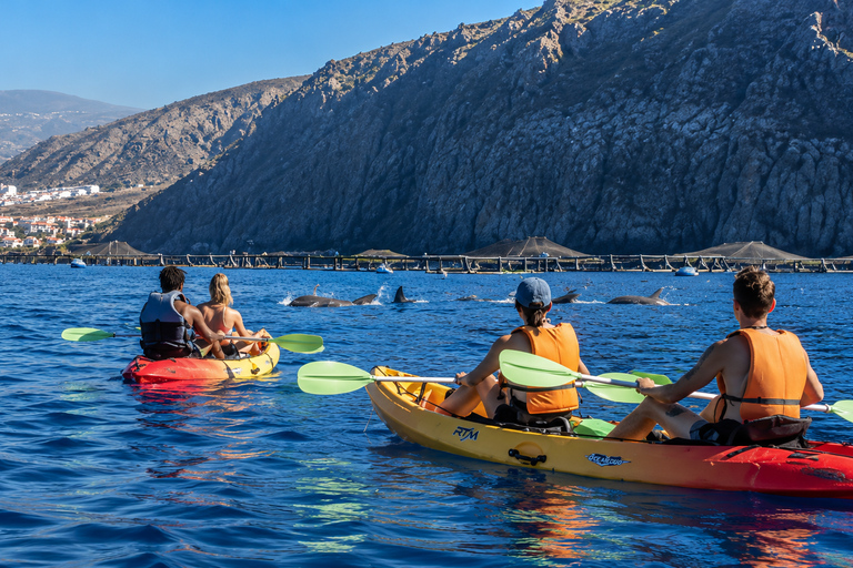 Tenerife: Turtle Bay - Kayak Rental with Drink and Equipment