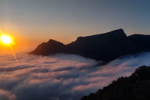 Cape Town: Hiking with Scenic Train and Bus Ride