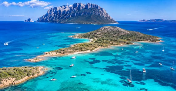 Golfo Aranci: Tavolara & Molara Boat Tour, Dolphin Excursion