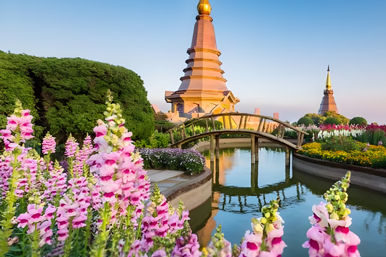 Chiang Mai: lo más destacado de Doi Inthanon (sin senderismo)Chiang Mai: Doi Inthanon Private Highlights (No Hiking)