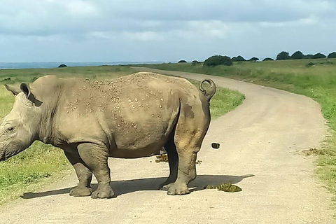 Nairobi National Park;4 uur gamedrive in het enige stadspark ter wereld