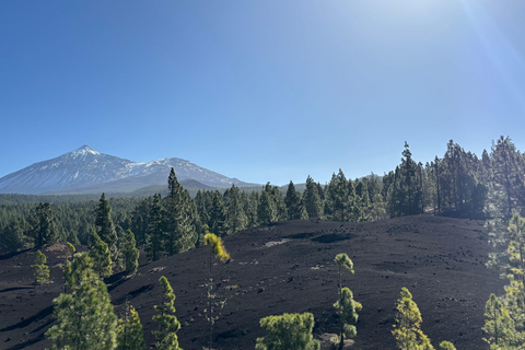 Tenerife: premium e-bike ride at Chineyro volcanic area