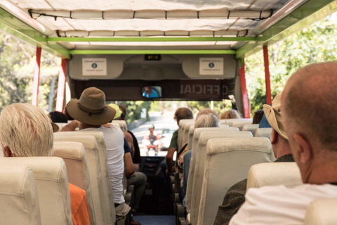 Split: City Sightseeing Hop-On Hop-Off Bus Tour & Extras 24-Hour Ticket