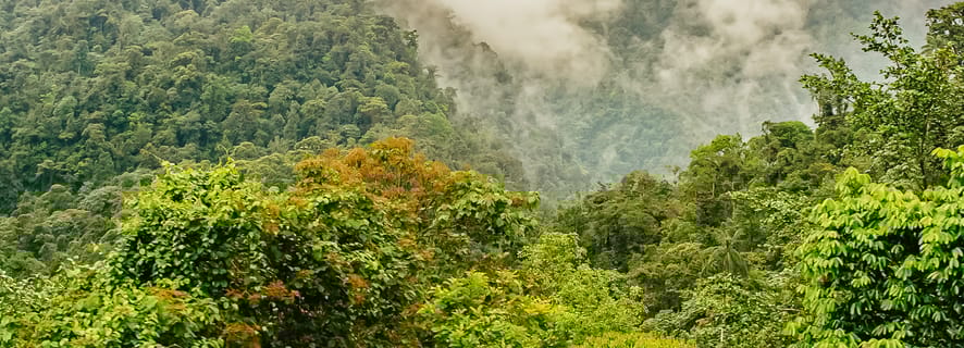 Quito: tour privato della foresta pluviale di Mindo con giro in funivia