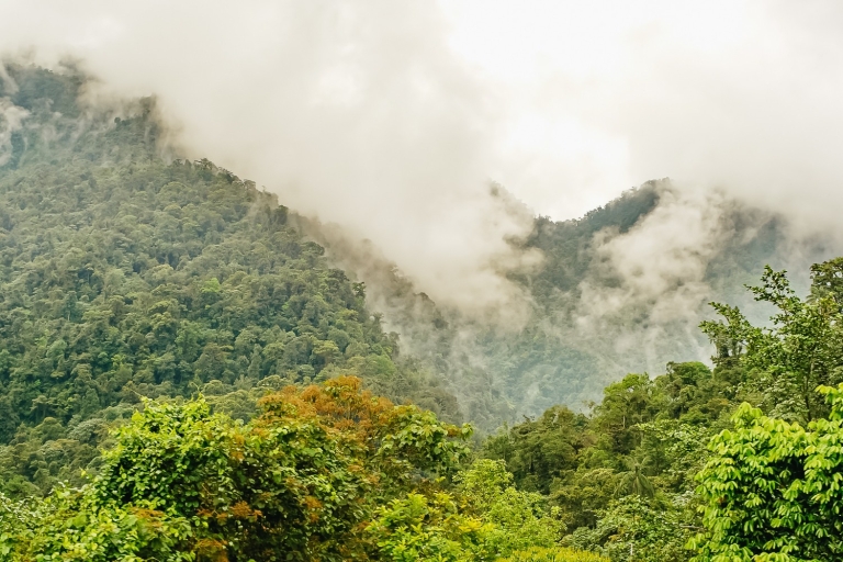 Quito: visite privée de la forêt nuageuse de Mindo avec téléphérique