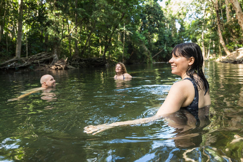 Cairns: 3-Day Daintree, Cape Tribulation & Port Douglas Tour Private Single Room (Adults only)
