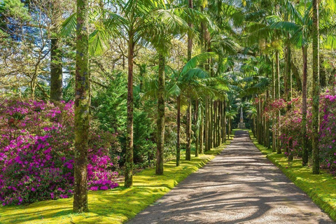 São Miguel: Furnas Half-Day Tour