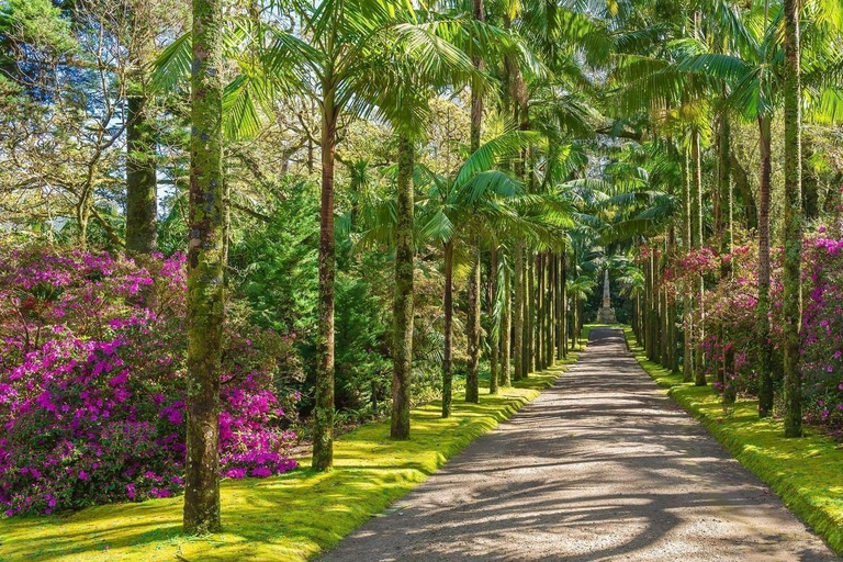 São Miguel: Furnas Half-Day Tour