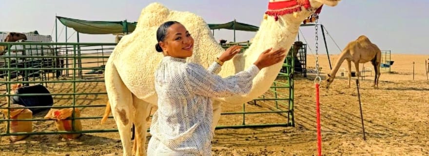 Excursions d'une journée dans la ville de Koweït et le désert, avec prise en charge et retour