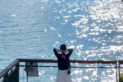 从台北或台中出发：2 天阿里山和日月潭之旅从台北出发：四座商务车