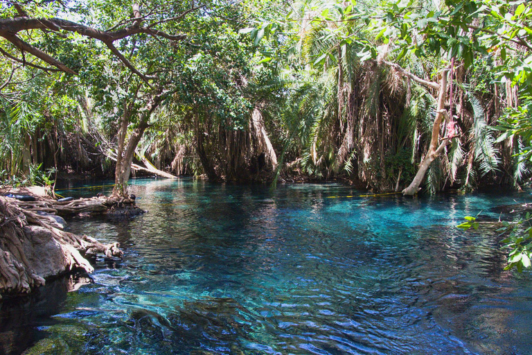 Arusha: Day Trip to Kikuletwa Hot Springs