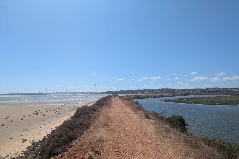 Guided buggy Passenger tour Alvor Ria wetlands