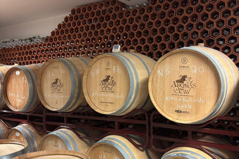 Évora: Jeep Vineyards Tour with Regional Wine & Food Tasting
